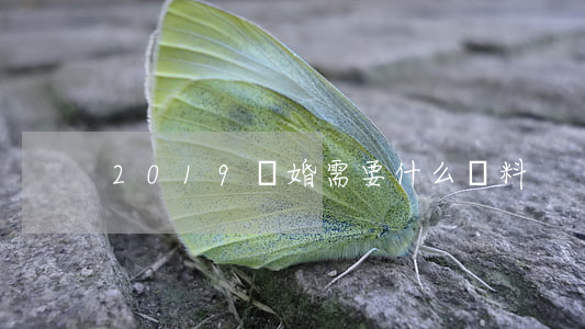 2019離婚需要什么資料