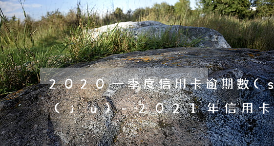 2020一季度信用卡逾期數(shù)據(jù)-2021年信用卡逾期數(shù)據(jù)