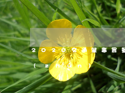 2020交通肇事罪量刑標(biāo)準(zhǔn)