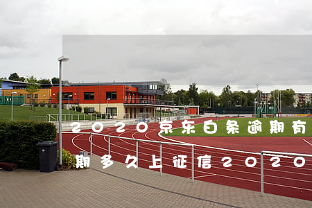 2020京东白条逾期有何后果(京东白条逾期多久上征信2020)