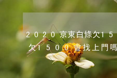 2020京東白條欠15000-京東白條欠1500會找上門嗎?