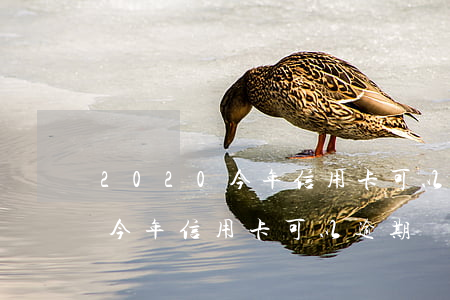 2020今年信用卡可以逾期嗎-2020今年信用卡可以逾期嗎知乎