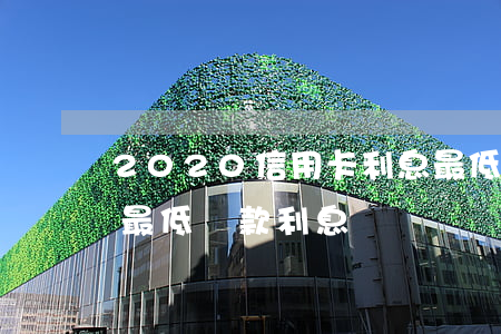 2020信用卡利息最低(2021年信用卡最低還款利息)