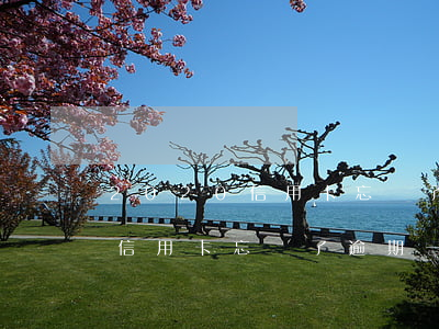 2020信用卡忘還了逾期一天-2020信用卡忘還了逾期一天怎么辦
