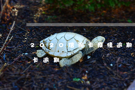 2020信用卡疫情逾期-受疫情影響信用卡逾期