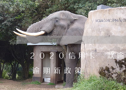 2020信用卡貸款逾期(2020年信用卡逾期新政策)