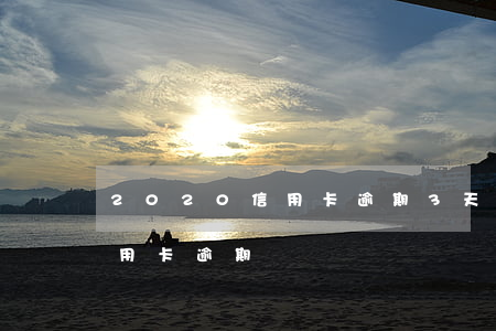 2020信用卡逾期3天(2020年銀行信用卡逾期)