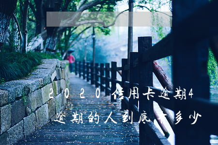 2020信用卡逾期4萬(2020年信用卡逾期的人到底有多少)