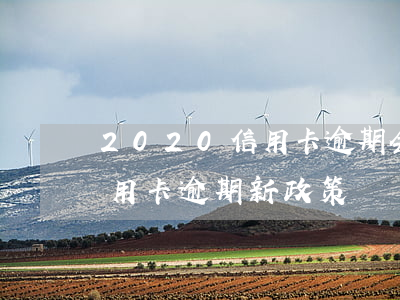 2020信用卡逾期会怎么样(2020年信用卡逾期新政策)