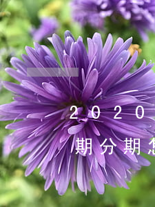 2020信用卡逾期分期(2020信用卡逾期分期怎么還)