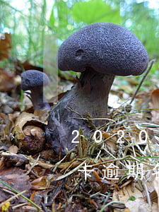 2020信用卡逾期名单信阳 2020信用卡逾期名单信阳
