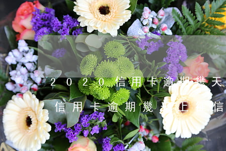 2020信用卡逾期幾天上征信(2021年信用卡逾期幾天上征信)