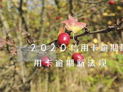 2020信用卡逾期最新法规(2020年信用卡逾期新法规)