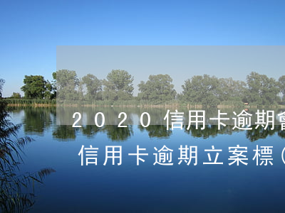 2020信用卡逾期會不會拘留 2020年信用卡逾期立案標(biāo)準(zhǔn)