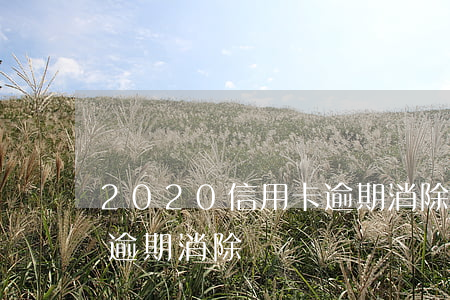 2020信用卡逾期消除-2020信用卡逾期消除