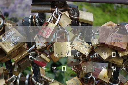 2020信用卡逾期規(guī)模(2020年中國信用卡逾期率)
