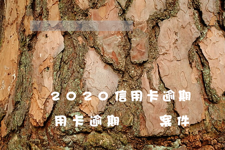 2020信用卡逾期訴訟案件-2020信用卡逾期訴訟案件