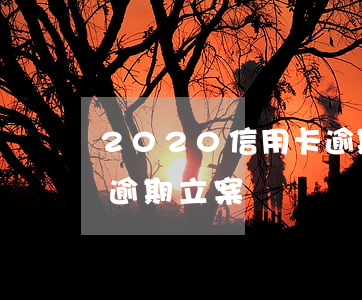 2020信用卡逾期費用(2020年信用卡逾期立案標準)