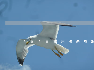 2020信用卡逾期起訴案件
