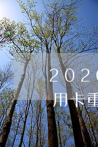 2020信用卡重慶逾期名單-2020信用卡重慶逾期名單