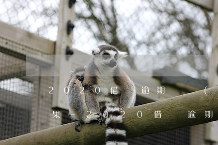 2020借唄逾期兩個(gè)月是什么后果-2020借唄逾期兩個(gè)月是什么后果呢