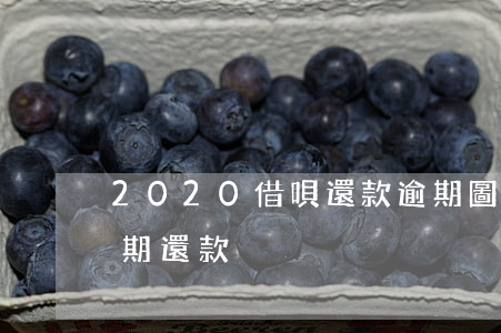 2020借唄還款逾期圖片(2020借唄延期還款)