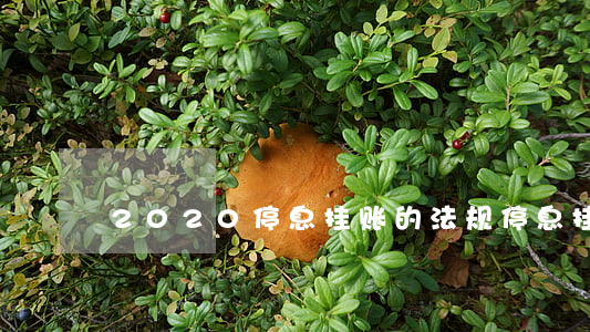 2020停息挂账的法规(停息挂账国家规定)