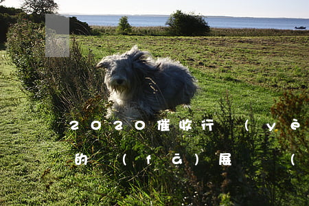 2020催收行業(yè)未來(lái)的發(fā)展趨勢(shì)-2020催收行業(yè)未來(lái)的發(fā)展趨勢(shì)分析
