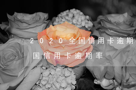 2020全国信用卡逾期人数 2020年全国信用卡逾期率