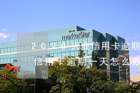 2020兴业信用卡逾期一天(2020兴业信用卡逾期一天怎么办)