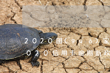 2020國(guó)家信用卡逾期(央行2020信用卡逾期新政)