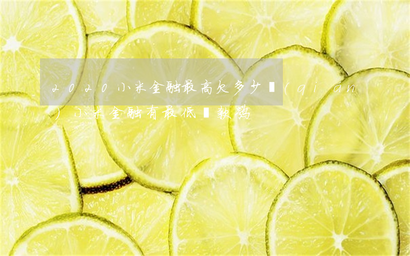 2020小米金融最高欠多少錢(qián)(小米金融有最低還款嘛)