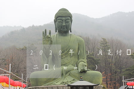 2020年11月支付寶逾期(支付寶逾期十二萬(wàn))