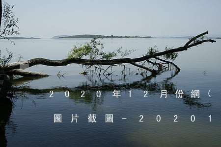 2020年12月份網(wǎng)貸逾期圖片截圖-2020 12月網(wǎng)貸
