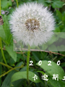 2020年1月信用卡逾期(2020年信用卡逾期立案标准出炉!)