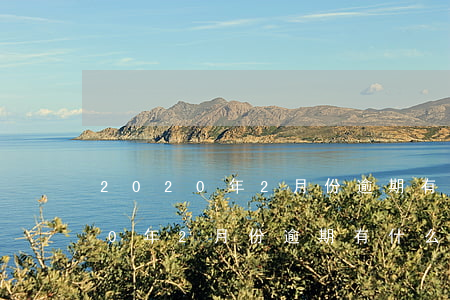2020年2月份逾期有什么政策-2020年2月份逾期有什么政策嗎