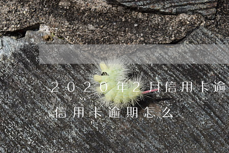2020年2月信用卡逾期(2020年2月信用卡逾期怎么辦)