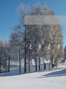 2020年2月花呗逾期了怎么办-2020年2月花呗逾期了怎么办呢