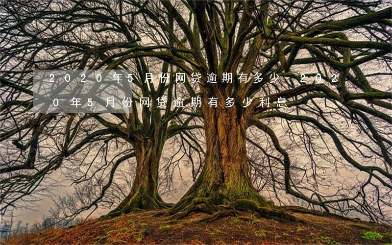 2020年5月份网贷逾期有多少-2020年5月份网贷逾期有多少利息