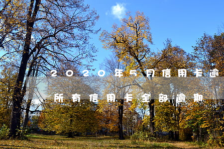 2020年5月信用卡逾期處理(2020年所有信用卡全部逾期)