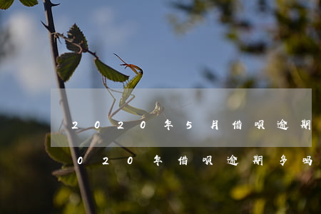 2020年5月借呗逾期全国有多少人-2020年借呗逾期多吗