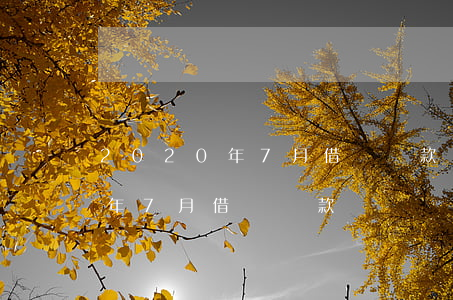 2020年7月借唄還款記錄圖-2020年7月借唄還款記錄圖片