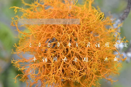 2020年8月信用卡逾期照片-2020年信用卡逾期圖片 截圖