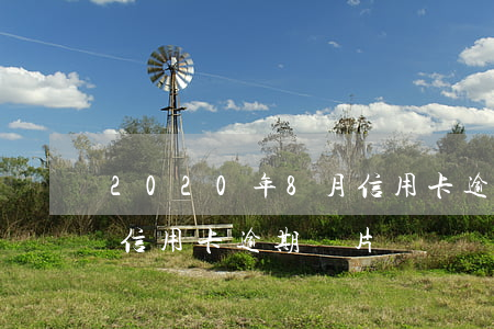 2020年8月信用卡逾期照片(2020年信用卡逾期圖片)
