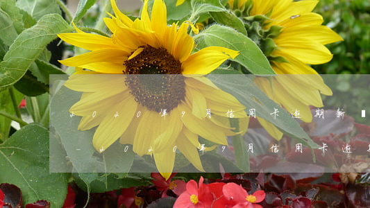 2020年9月信用卡逾期新規(guī)-2020年9月信用卡逾期新規(guī)定