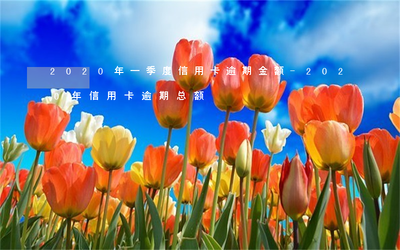 2020年一季度信用卡逾期金额-2020年信用卡逾期总额
