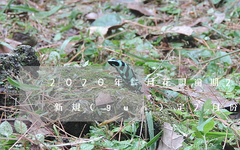 2020年二月花唄逾期(2020花唄逾期新規(guī)定2月份)