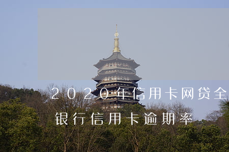 2020年信用卡网贷全面逾期(2020年银行信用卡逾期率)