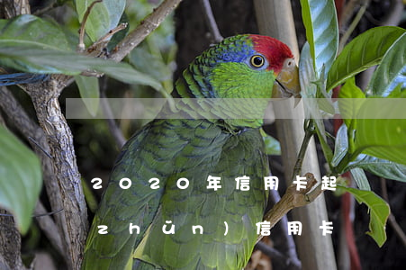 2020年信用卡起訴標(biāo)準(zhǔn)（信用卡糾紛起訴經(jīng)歷）