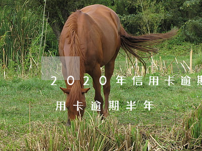 2020年信用卡逾期6个月(2020年信用卡逾期半年)
